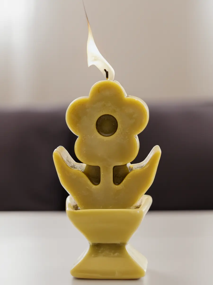 Troya Papatya Balmumu